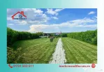 Teren pentru casă în Șerbănești! CE1600