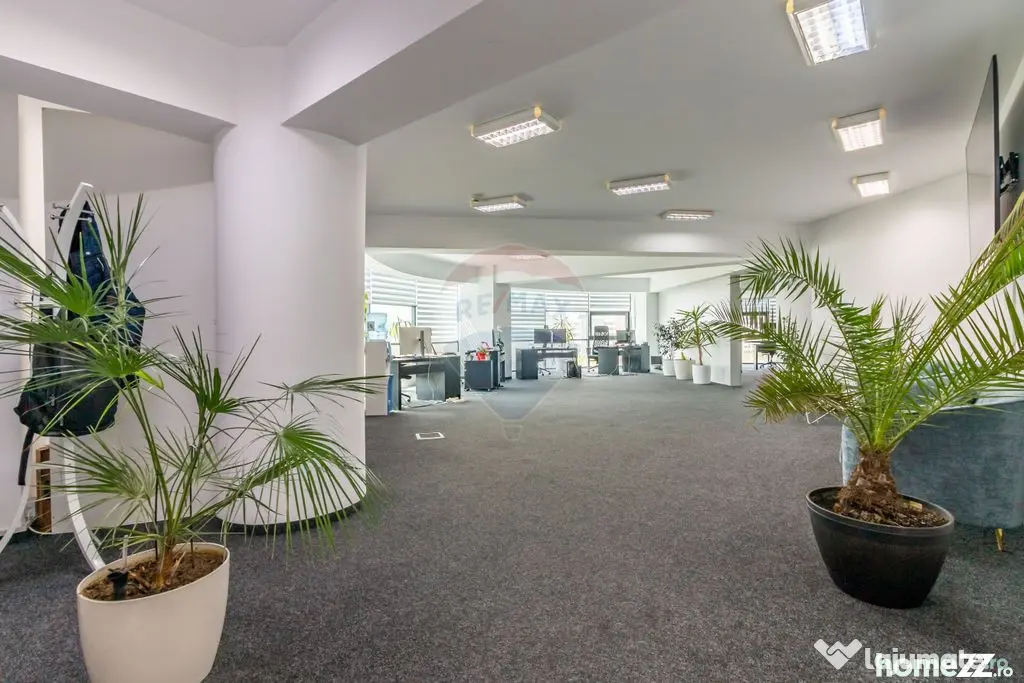 Spațiu de birouri I Office I comercial I 245 mp I Mihai ...