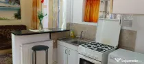 Garsoniera Andrei Muresanu