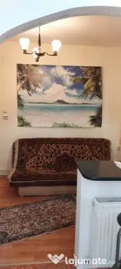 Garsoniera Andrei Muresanu 