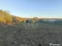 TEREN INTRAVILAN PLOPU//3000 MP