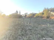 TEREN INTRAVILAN PLOPU//3000 MP 