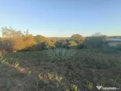 TEREN INTRAVILAN PLOPU//3000 MP 