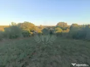 TEREN INTRAVILAN PLOPU//3000 MP 