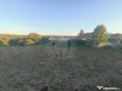 TEREN INTRAVILAN PLOPU//3000 MP 