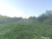 TEREN INTRAVILAN PLOPU//3000 MP 