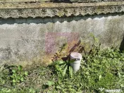Casă cu farmec rustic și 500 mp, la 15 min de București 