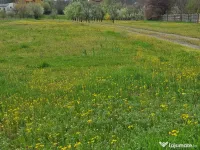 Vand teren intravilan Craiova 4155mp 