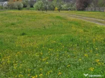 Vand teren intravilan Craiova 4155mp