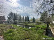 Investitie: Teren constructii si pastravarie - Prejmer, Bras 