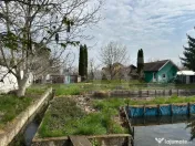 Investitie: Teren constructii si pastravarie - Prejmer, Bras 