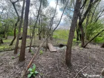 Teren 2117 mp în Malu Mare, cadru natural cu pârâu