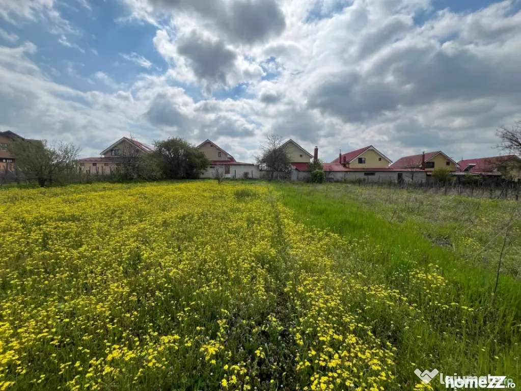 Teren 2117 mp în Malu Mare, cadru natural cu pârâu