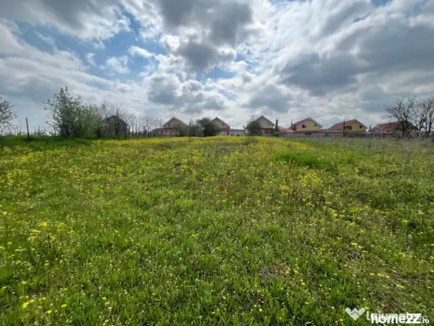 Teren 2117 mp în Malu Mare, cadru natural cu pârâu