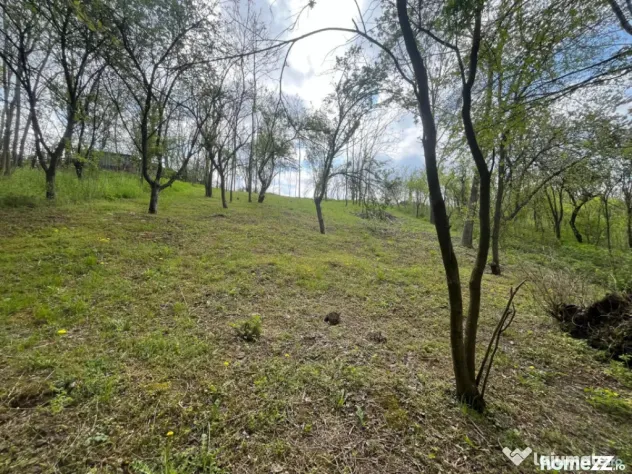 Teren 2117 mp în Malu Mare, cadru natural cu pârâu