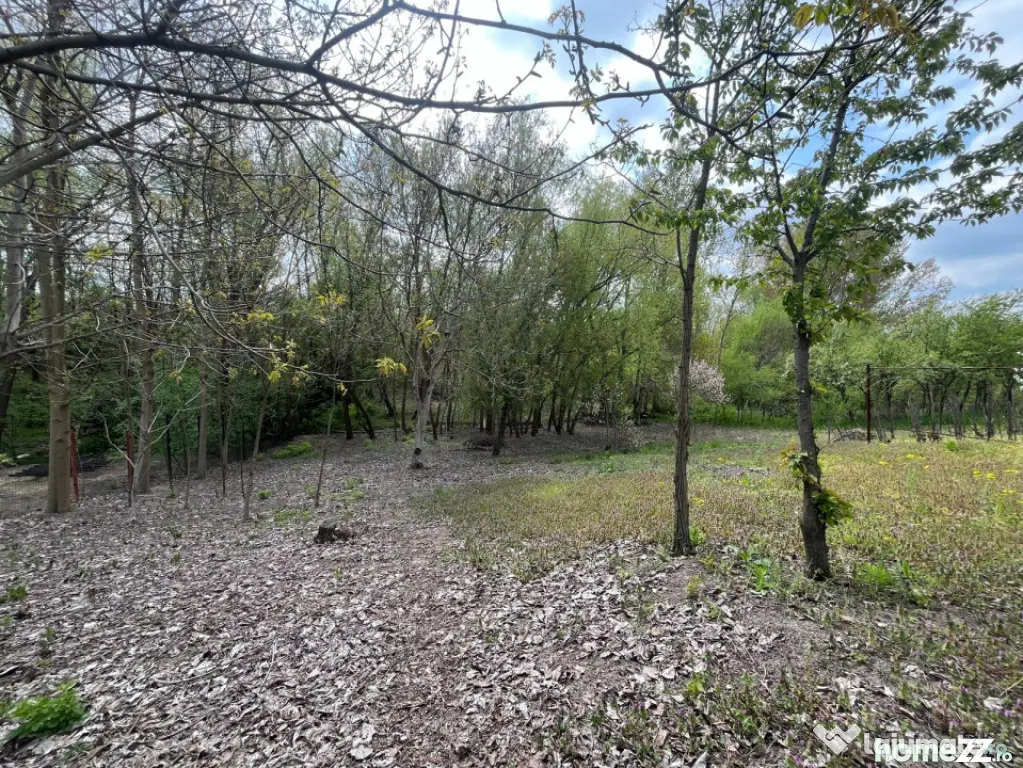 Teren 2117 mp în Malu Mare, cadru natural cu pârâu