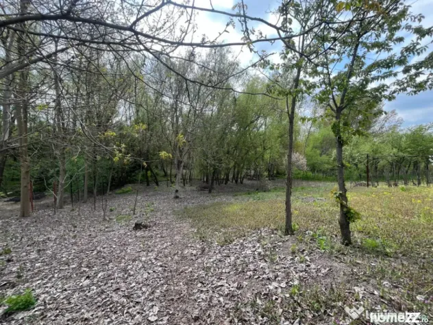 Teren 2117 mp în Malu Mare, cadru natural cu pârâu