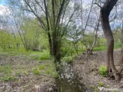 Teren 2117 mp în Malu Mare, cadru natural cu pârâu 