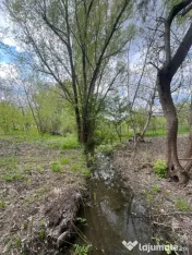 Teren 2117 mp în Malu Mare, cadru natural cu pârâu 