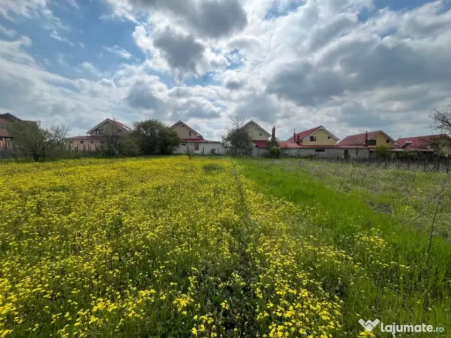 Teren 2117 mp în Malu Mare, cadru natural cu pârâu