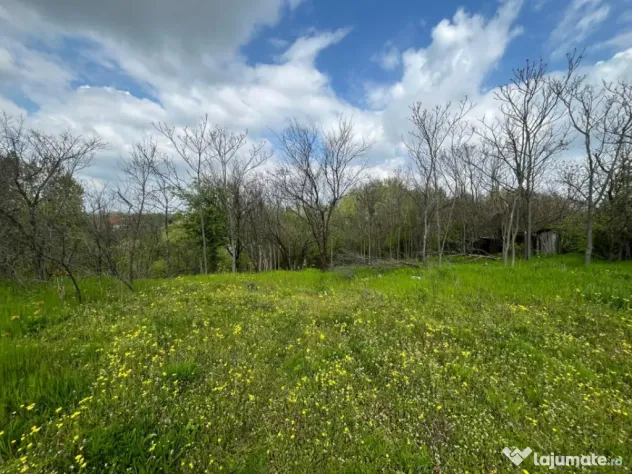 Teren 2117 mp în Malu Mare, cadru natural cu pârâu