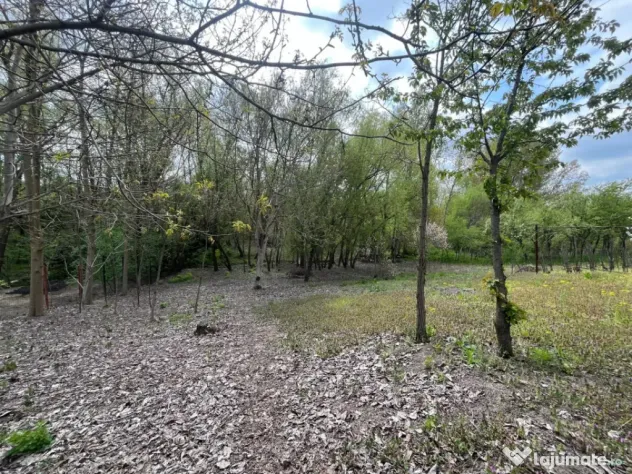 Teren 2117 mp în Malu Mare, cadru natural cu pârâu