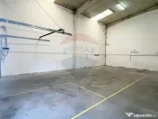 Spațiu industrial Parc Uta - 167 mp utili 