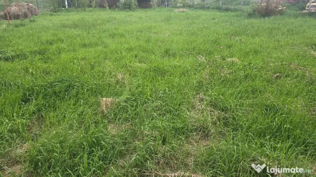 Vand teren intravilan in Zavoi partea de jos situat pe str. Sadoveanu,