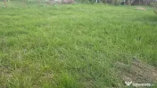 Vand teren intravilan in Zavoi partea de jos situat pe str. Sadoveanu, 