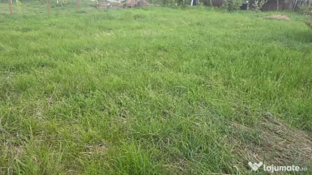 Vand teren intravilan in Zavoi partea de jos situat pe str. Sadoveanu,