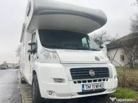 Tund catei la domiciliu Frizerie canina catel bison  acasa 