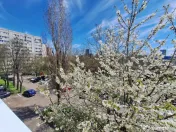 Apartament luminos și renovat 2 camere Pajura, prima închi 