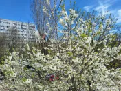 Apartament luminos și renovat 2 camere Pajura, prima închi 