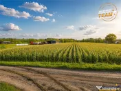 Film! Teren de 5.800 mp, Dobolii de Jos, Covasna 