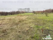 SUPER TEREN INTRAVILAN 5000 mp, str DRUMUL CIOROGARLA, SECT 