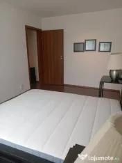 Ap. 3 camere de închiriat – Nicolae Grigorescu | Piața Sălăjan 