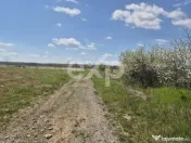 Vanzare casa in Albota Arges 3 camere constructie 2024 