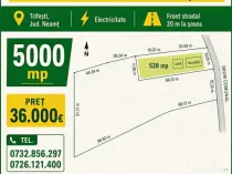 Teren, loc de casa 5.000 mp