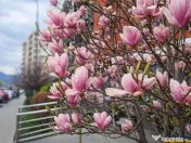 Urban Pentha, Rezidenta Premium,vedere deschisa,100 mp, 2 b 