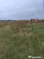 RECO Teren intravilan, Osorhei