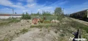 De inchiriat – Teren intravilan 2.077 mp – zona Calea Prutului 