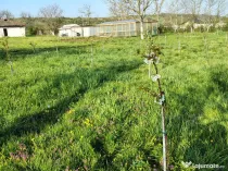 Proprietate la 28km de Craiova, Dolj