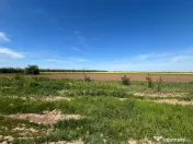 Teren extravilan Coșoveni 500-1500 mp deschidere mare 