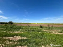 Teren extravilan Coșoveni 500-1500 mp deschidere mare