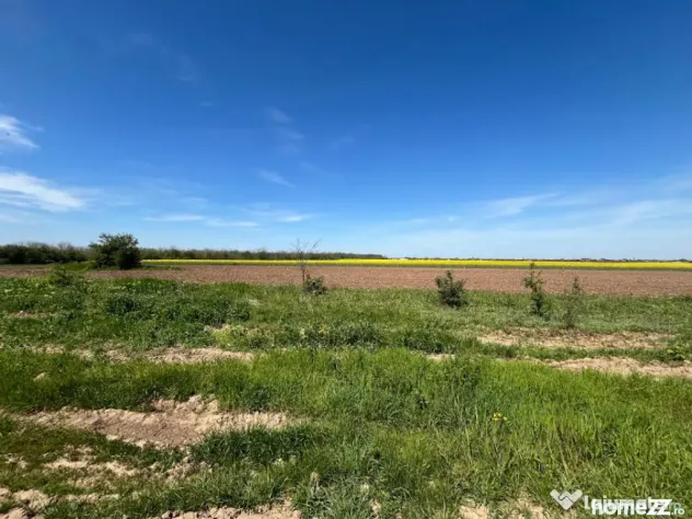 Teren extravilan Coșoveni 500-1500 mp deschidere mare