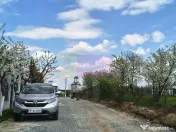 Teren în apropiere de București - Poșta 