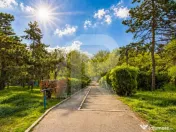 Apartament 3 camere - Acces direct Parc Plumbuita - renovat 