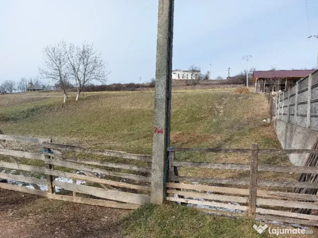 Teren Valea Crișului (Bratca) 1305mp