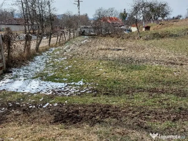 Teren Valea Crișului (Bratca) 1305mp