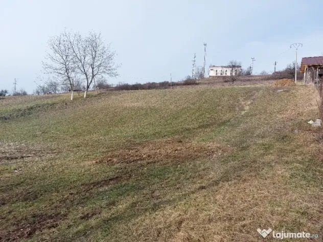 Teren Valea Crișului (Bratca) 1305mp
